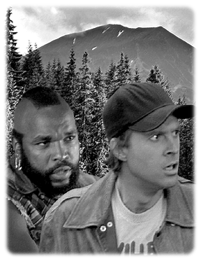 CITE Forest BA Murdock